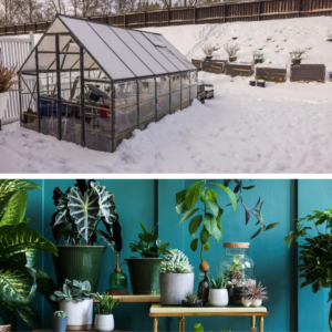 Vinterhagearbeid i Norge 2026